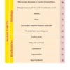 CVS Module - iNerd