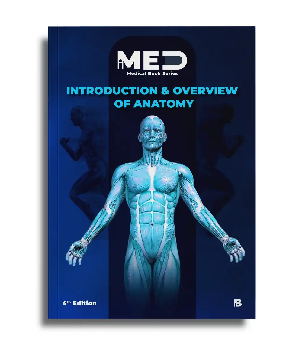 32564758697857463.webp Introduction and Overview of Anatomy - iMed - Image 1
