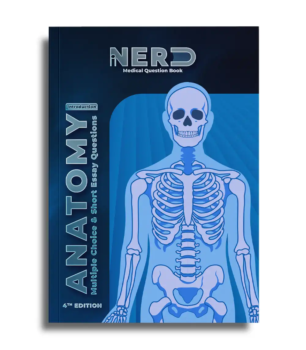 432546576532413.webp Introduction of Anatomy - iNerd - Image 1