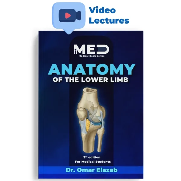 Anatomy of the Lower Limb - iMed